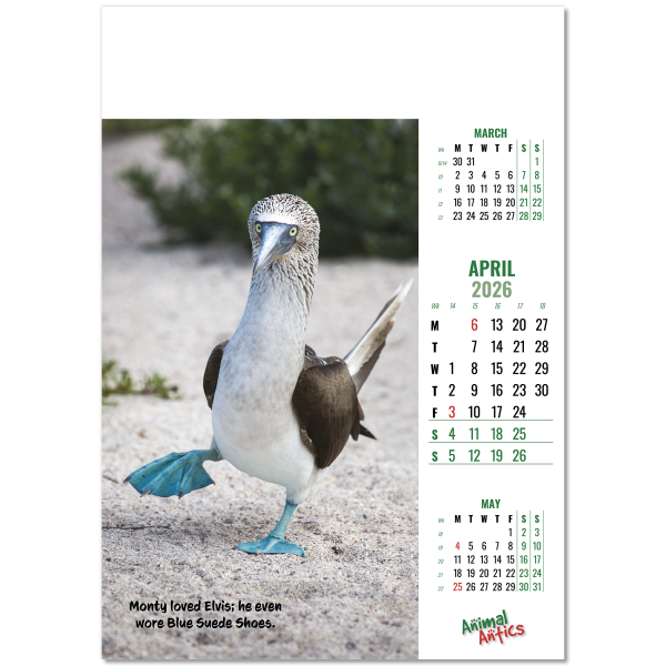 Animal Antics Wall Calendar