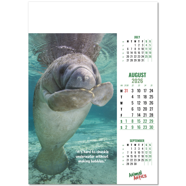 Animal Antics Wall Calendar