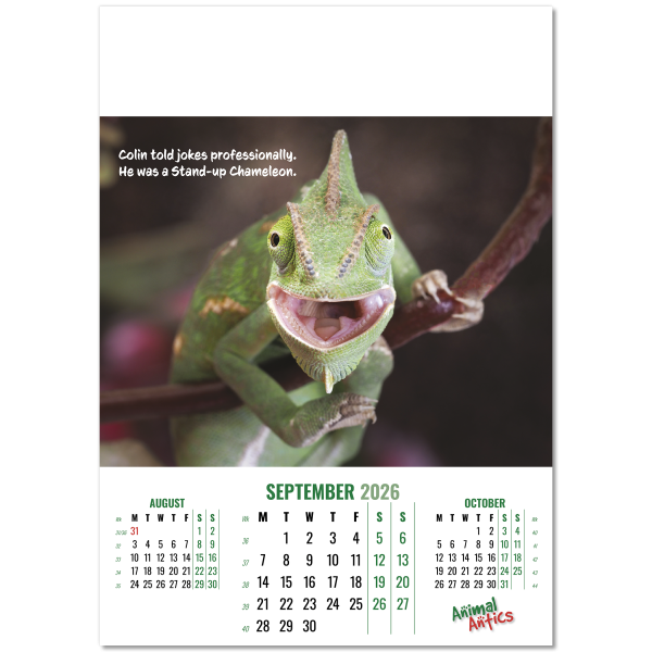 Animal Antics Wall Calendar