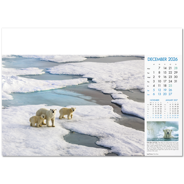 Blue Planet Wall Calendar