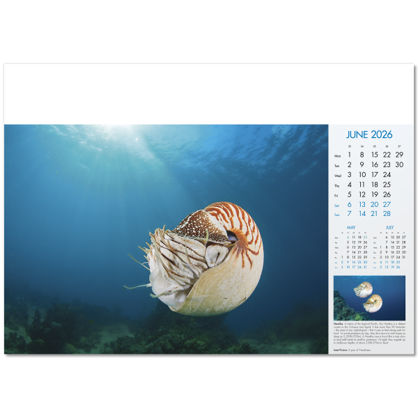 Blue Planet Wall Calendar