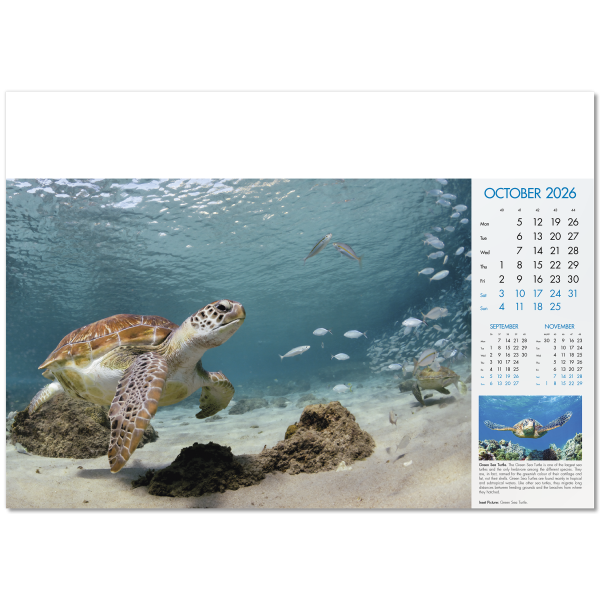 Blue Planet Wall Calendar