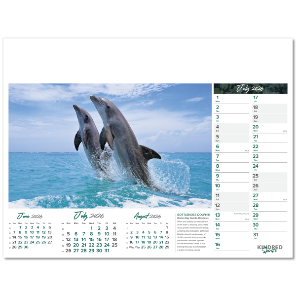 Kindred Spirits Wall Calendar