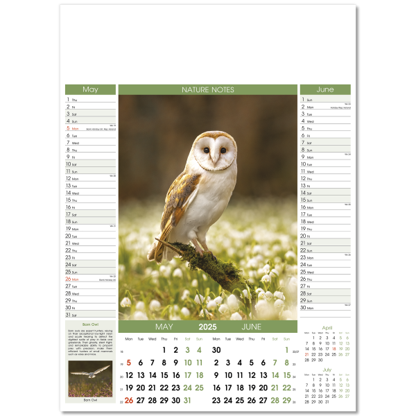 Nature Notes Wall Calendar