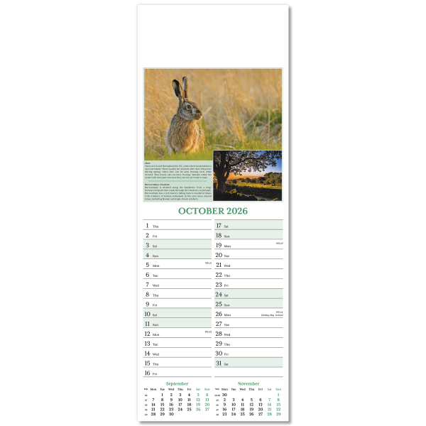 Nature's Glory Slim Wall Calendar