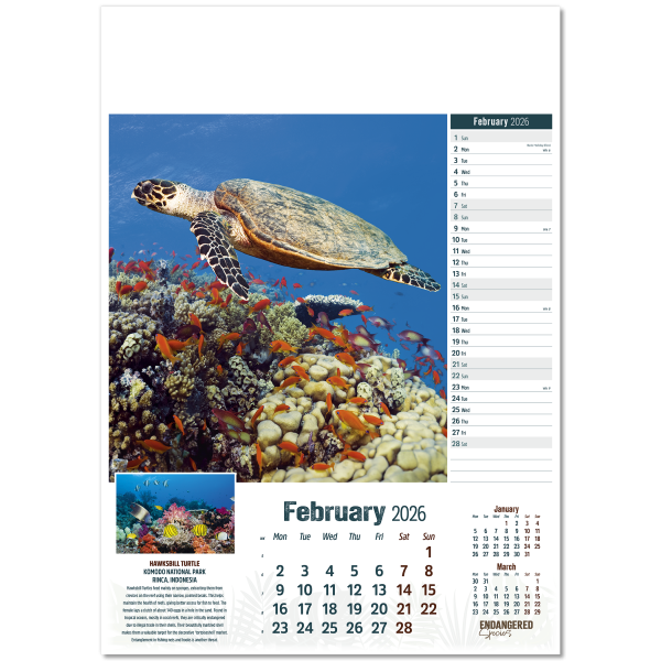 Endangered Species Wall Calendar