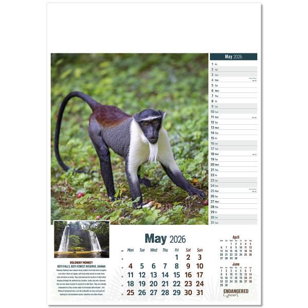 Endangered Species Wall Calendar