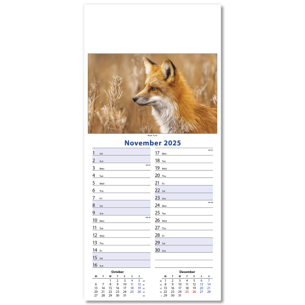 Wildlife Slim Wall Calendar