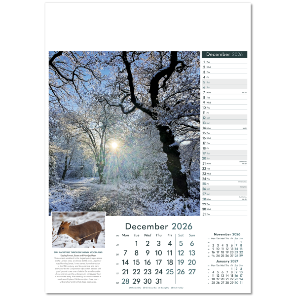 Wonders of Nature Wall Calendar