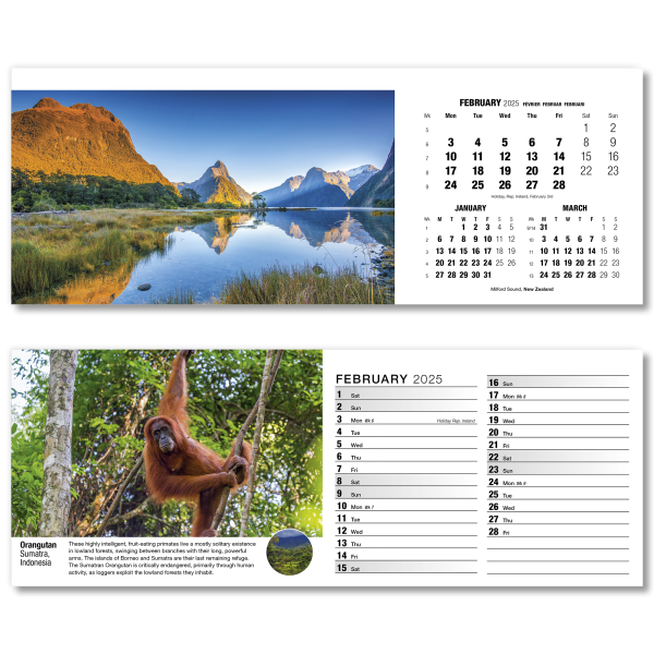 Our World in Trust Desk Calendar