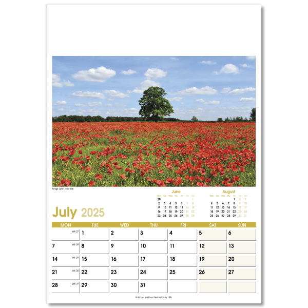 Aspects Wall Calendar - 13 Leaf