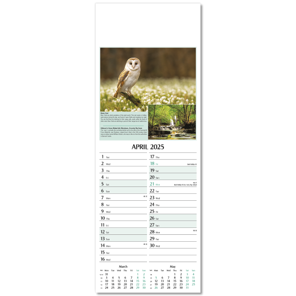 Nature's Glory Slim Wall Calendar