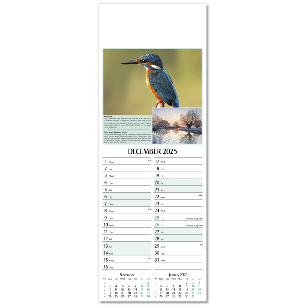 Nature's Glory Slim Wall Calendar