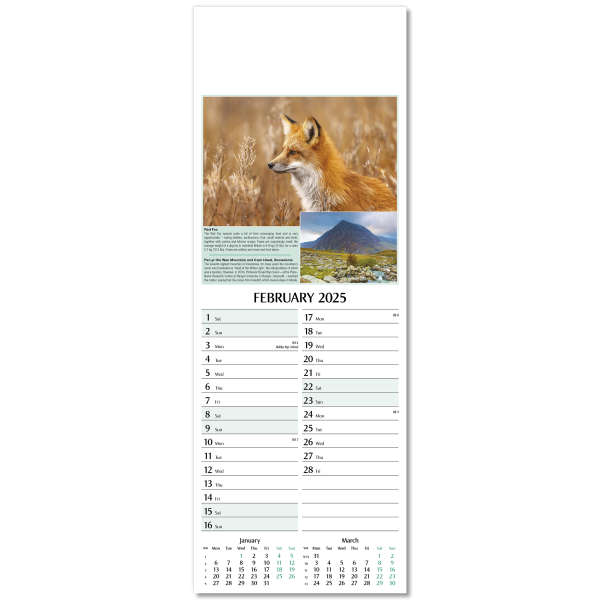 Nature's Glory Slim Wall Calendar